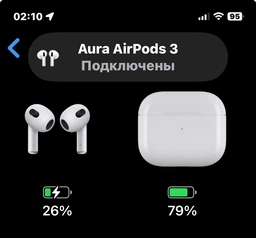 Наушники Aura 3 Black (TWSA3B)