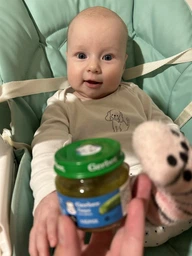 Упаковка пюре гомогенизированного овощного Gerber Кабачок для детей с 6 месяцев 80 г х 6 шт (7613287348043)