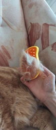Паровая щетка расческа для вычесывания шерсти котов 3 в 1 Steamy Cat Brush Желтая фото от покупателей 4