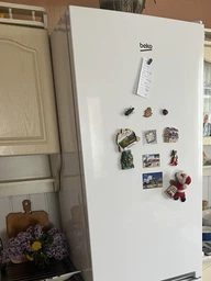Холодильник Beko RCNA406I40WN фото від покупців 8