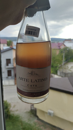 Вино ігристе Arte Latino Cava Brut Rose рожеве сухе 0.75 л 11.5% (8411277207603)