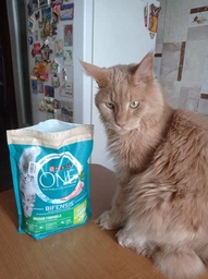 Сухий корм PURINA ONE Indoor для дорослих котів, що постійно перебувають у приміщенні, з індичкою 800 г (7613035468047) фото от покупателей 4
