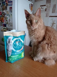 Сухой корм для кошек Purina One Steril Cat Salmon & Wheat 200 г (7613034765239) фото от покупателей 19
