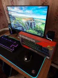 Клавіатура SteelSeries Apex 3 TKL RGB USB Black (64831)