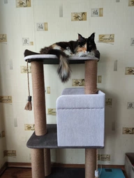 Стильный кошачий комплекс когтеточка с домиком для котов кошки и котят Ричард 120х60х40см бежево коричневый