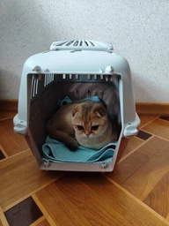 Переноска MPS 2 Pratiko 1 Plast Cipria 48 x 31.5 x 33 см Светло-коричневая (8022967073356) фото от покупателей 1