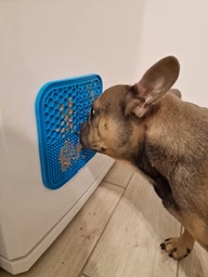 Силиконовый коврик для лизания и медленного питания для собак и кошек UrbanPets, зеленый фото от покупателей 2
