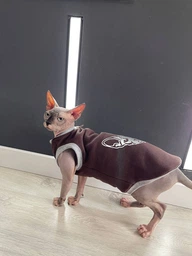 Кофта для кота или кошки Style Pets ILMSPH-brown (00047br) M