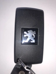 Корпус выкидного ключа для Peugeot 207 Партнер 307 308 407 GstarKey 2 кнопки батарейка на корпусе с прямым чистым жалом фото от покупателей 1
