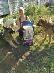 Сухой корм CLUB 4 PAWS PREMIUM Клуб 4 лапы для взрослых собак БОЛЬШИЕ ПОРОДЫ, 14 кг фото от покупателей 2