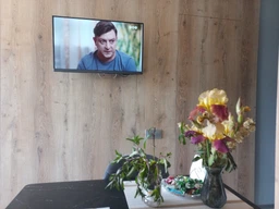 ТБ Philips 32PHS6808/12