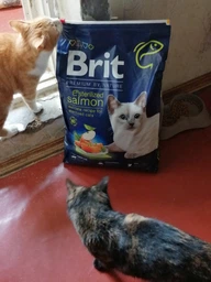 Корм Brit Premium by Nature Cat Sterilized Salmon сухой с лососем для стерилизованных котов 1.5 кг фото от покупателей 9