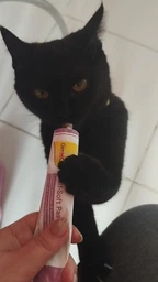 Паста Для кошек Gimborn GimCat Malt-Soft Экстра для выведения шерсти 50 г (4002064407364 / 4002064417929) фото от покупателей 1