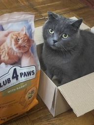 Сухий корм для котів CLUB 4 PAWS Клуб 4 лапи Premium With rabbit із кроликом 2 кг. фото от покупателей 12