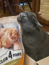 Сухий корм для котів CLUB 4 PAWS Клуб 4 лапи Premium With rabbit із кроликом 2 кг. фото от покупателей 11