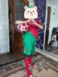 Форма футбольная детская Lion SPORT Ronaldo (Роналдо) 7 Збірна Португалії 2024, 28-150-155, зеленый-красный фото от покупателей 15