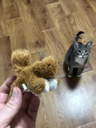 Іграшка для котів Білка Trixie 9 см (плюш)
