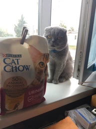Сухой корм для взрослых кошек Purina Cat Chow Urinary для поддержания здоровья мочевыводящей системы, с курицей 1.5 кг (5997204514387) фото от покупателей 4
