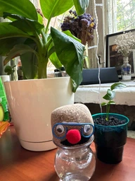Набор для выращивания Grow Grass man Травянчик (UFTGG) фото от покупателей 1