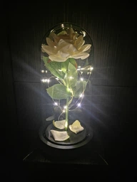 Роза в колбі з LED підсвіткою, вічна троянда нічник декоративна лампа в спальню дівчині подарунок для жінки романтичний дружині мамі на день народження троянда біла з батарейками в комплекті декор для інтер'єру 2100037 фото від покупців 15