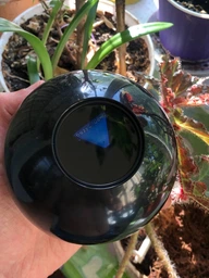 Магический шар-предсказатель UFT Magic Ball 8 10 см на русском языке (MagicBall810) фото от покупателей 4
