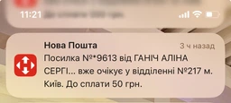 Електрочайник RAF R 71В8 чайник електричний 0,8 л з нержавіючої сталі, 800W фото від покупців 1