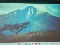 Ноутбук ASUS Chromebook CX1 CX1400CKA-EB0588 (90NX03I2-M00N20)