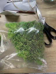 Стабилизированный мох ягель Nordic moss Зеленый травяной светлый 100 грамм фото от покупателей 3