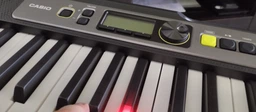 Синтезатор Casio LK-S250 Black (LK-S250C7)