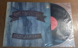Конверты для 12 дюймового хранения винила VinylPacking внутренние, антистатические полукруглые 50 шт фото от покупателей 1