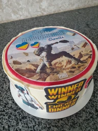 Сахарна їстівна картинка Modecor Модель PUBG Ø 20см, вис. 4,5см для хлопчика на торт і топпери 10,11,12,13,14,15 років з комп'ютерною грою Пабг, Пубг (SNP - 00079) фото от покупателей 2