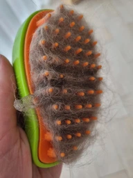 Щетка-расческа с паром для вычесывания шерсти животных Massage comb Зеленая