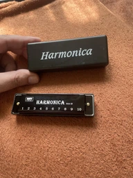 Губная гармошка диатоническая Avzhezh ABH12 C Black