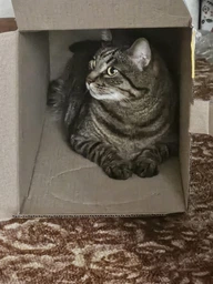 Когтеточка картонная Say Meow Grace, 67 см х 27 см х 24 см