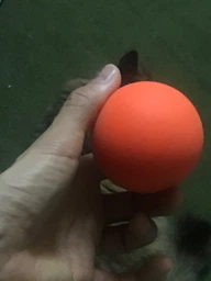 Масажний м'ячик EasyFit каучук 6.5 см помаранчевий фото від покупців 3