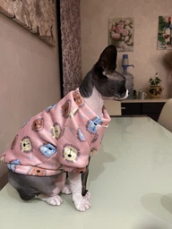 Кофта для котов (кошек) Лаки Лев XS Персиковый