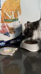 Сухой корм Farmina (Фармина) N&D Low Grain Cat Lamb & Blueberry Adult-1.5 кг фото от покупателей 3