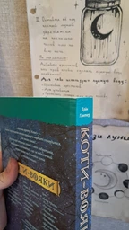 Книга серия Коты – воины. Опасный путь Книга 5 (мягкая) (на украинском языке)