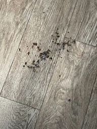 Комплект 2 шприца гель-паста средство от тараканов Targan-dez Stop Cockroach gel + Подарок Клеевая ловушка фото от покупателей 19