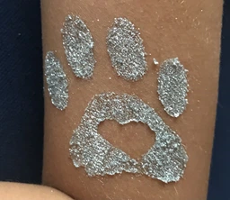 Набор трафаретов для био-тату Fresh Tattoo "A - животные 6*6см 24шт_№1 простые" (a-simple_24_1) фото от покупателей 1