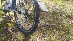 Покришка Schwalbe Land Cruiser 28x 1.75 47-622 Active, K-Guard TwinSkin B/B фото від покупців 11