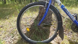 Покришка Schwalbe Land Cruiser 28x 1.75 47-622 Active, K-Guard TwinSkin B/B фото від покупців 9