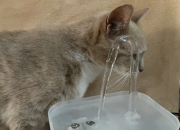Фонтан-поїлка для котів і собак Hipidog 1.5L з фільтром, Білий (130-WHITE)