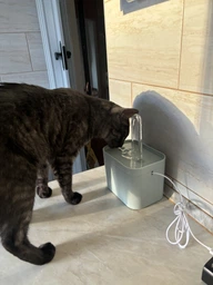 Питний фонтан для котів та собак 1.5L Pet Water FOUNTAIN з фільтром Зелений фото від покупців 1