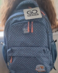 Рюкзак GoPack Education GO24-182M-6