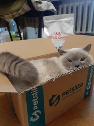 Сухий корм для кішок Royal Canin DIABETIC при захворюванні діабетом 400г фото від покупців 1