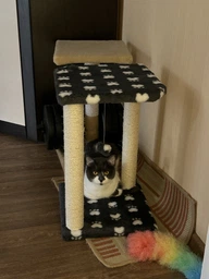 Царапка Lucky Pet домик сезалевый "Симба 2" 33 х 33 х 44 см Черная (4820224215877) фото от покупателей 1