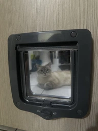 Двері для котів Trixie двосторонні 20 х 22 cм Сірі (4011905442020) фото від покупців 5