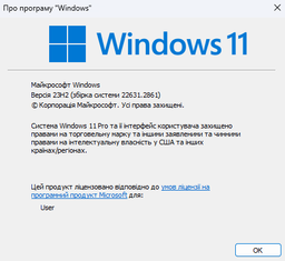 Windows 11 Pro/Професійна (Електронна ліцензія + Інструкція)