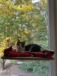 Подвесная лежанка - гамак для кошек Window Mounted Cat Bed